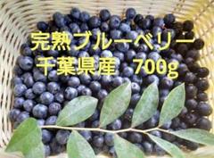 ブルーベリー　700ｇ　千葉県産　完熟　生ブルーベリーのサムネイル