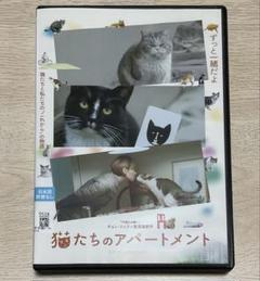 猫たちのアパートメント('22韓国)