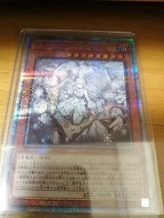 遊戯王　迷宮城の白銀姫　25th　クオシク 絵違い　イラスト違い