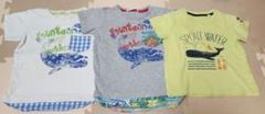 100cm　半袖Tシャツ　トップスおまとめ売り　双子　くじら　夏