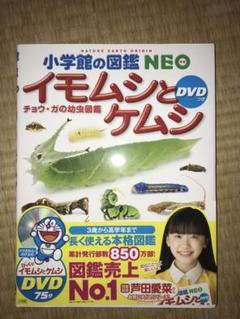 イモムシとケムシ チョウ ガの幼虫図鑑の中古 未使用品を探そう メルカリ イモムシとケムシ チョウ ガの幼虫図鑑の中古 未使用品を探そう メルカリ