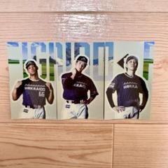宮西尚生 万波中正 松本剛　WE LOVE HOKKAIDO 2025ステッカー