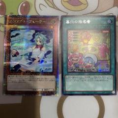 遊戯王 エフェクトヴェーラー クオシク絵違い 墓穴の指名者