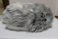 【新品・未開封】Moflin モフリン Silver シルバー Amazon.co.jp: ・ moflin モフリン シルバー AIロボットペット
