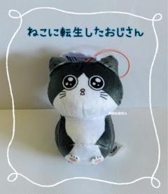 ねこに転生したおじさんぬいぐるみ マスコット