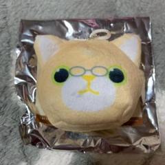 2025年最新】PRINCE CAT シトロンの人気アイテム - メルカリ