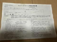 エバーグリーン　セルペンティ　スパイダースピン　未記入　保証書 エバーグリーン セルペンティ スパイダースピン 未記入 保証書