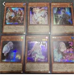 オール絵違いシク 手札誘発アンデット娘6枚セット