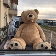 【即購入可】レア！コストコ　クマ　2m40cm コストコで2メートル超えの「巨大なクマのぬいぐるみ」を売って