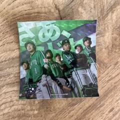 ヤクルトスワローズ　ステッカー