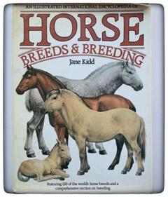 Horse Breeds&Breeding-Jane Kidd 洋書 Horse Breeds&Breeding-Jane Kidd 洋書 - メルカリ
