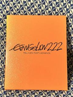 エヴァンゲリオン 劇場版 破 DVD EVANGELION:222