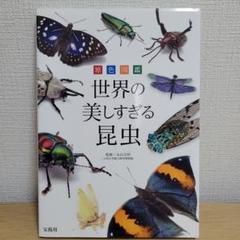 yujin 原色日本昆虫図鑑　Ⅰ.Ⅱ.Ⅲ 8種類セット　ブックレット　ケース付 Amazon.co.jp: ユージン 原色日本昆虫図鑑III オニヤンマ ヤゴ