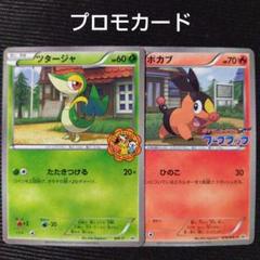 超希少ポケモンカードポカブ076/bw-p プロモワークブック pop7