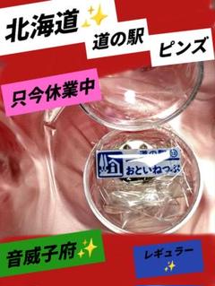 北海道　✨道の駅　ピンズシルバー　ピンズ　最安値21種類2025年はシルバー 2025年最新】道の駅 ピンズの人気アイテム - メルカリ