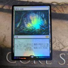 2025年最新】霧深い雨林 Foilの人気アイテム - メルカリ