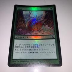 MTG 帰化 Foil オンスロート(ONS)版 2025年最新】帰化 mtgの人気アイテム - メルカリ