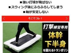 FIELD FORCE トランポリン バッティング練習用