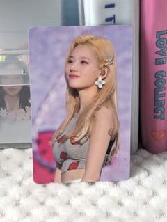 2025年最新】twicelights dvdの人気アイテム - メルカリ