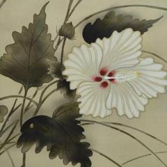 真作/龍畝/白蓉花図/花/桐共箱付布袋屋掛軸A-397 真作/龍畝/白蓉花図/花/桐共箱付布袋屋掛軸A-397 - メルカリ