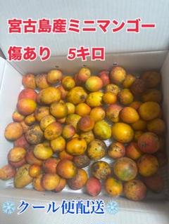 ※訳あり　説明欄必読！宮古島産ミニマンゴー 5キロ 訳あり プロフ必読！宮古島産 ミニマンゴー 5キロ - メルカリ