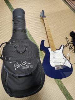 Parker ステンレスフレット化、ロックペグ化済 Parker ステンレスフレット化、ロックペグ化済 - メルカリ