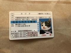なめねこ 免許証の中古 未使用品を探そう メルカリ なめねこ 免許証の中古 未使用品を探そう メルカリ