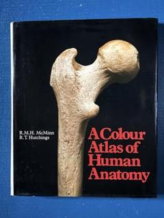 ハードカバー　「人体解剖カラーアトラス」 「別冊　翻訳抄本」佐藤 達夫