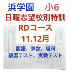 浜学園 小6 日曜志望校別特訓 11.12月 RDコース 復習テスト