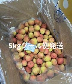 新鮮ベトナム産ライチlychee5kgクール便発送 新鮮ベトナム産ライチlychee5kgクール便発送 - メルカリ