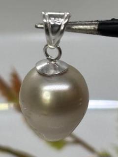 南洋白蝶真珠　ペンダントトップ　silver刻印　ジャンク 南洋白蝶真珠 ペンダントトップ silver刻印 ジャンク