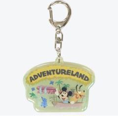 ディズニーリゾート　アドベンチャーランド　キーチェーン