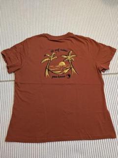 T&C surt Designs Hawaii Tシャツ Lサイズ パームツリー