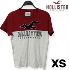 訳あり美品　ホリスター　フロントロゴ　半袖Tシャツ　XS ホワイト　レッド