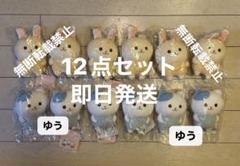 なんとかバニアぬいぐるみ　3種類 kk069 ちいかわ なんとかバニア ぬいぐるみ3種セット ちいかわ