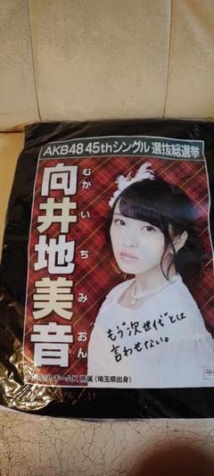 向井地美音 Tシャツ Lサイズ アイドル LIVE イベント AKB48 向井地美音 - エケペディア