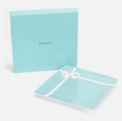 【新品未使用】　ティファニー ブルーボウデザートプレート 2枚セット TIFFANY&Co. ティファニー ブルー ボウ デザートプレート 2枚