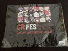 CR FES 2023