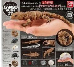 「レアセット」アルマジロトカゲ　モザイクセット　墨入れ付き いきもの大図鑑 アルマジロトカゲ スミ入れ 墨入れver. - メルカリ