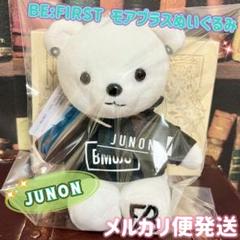 JUNON　BE FIRST　白くま　ぬいぐるみ　タグ付き JUNON BE:FIRST くまぬいぐるみ 2体セット
