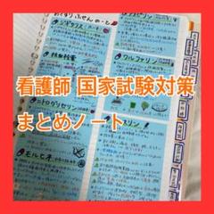 原本　1名さま限定！！看護師国家試験　まとめノート　付箋ノート Amazon.co.jp: 1名様！13999円→5222円看護師国家試験まとめ