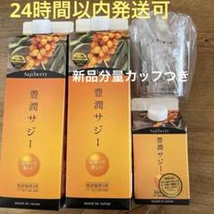 豊潤サジー　1000ml ２本+300ml 豊潤サジー 1000ml 2本セット おまけ300㎖ - メルカリ