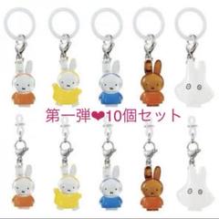 ミッフィー めじるしアクセサリー　第一弾　コンプリート　ブルーナカラー ミッフィー めじるしアクセサリー 第一弾 コンプリート ブルーナ