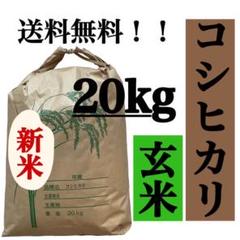 満点の 送料込み 完全無農薬栽培 自然農法 兵庫県三田産 コシヒカリ 20kg - 米
