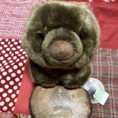 五月山動物園 ウォンバット ぬいぐるみ タグ付き 五月山動物園 ウォンバット ぬいぐるみ タグ付き - メルカリ