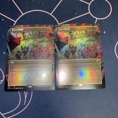 MTG 禁忌の果樹園 FOIL ZEN EXP 英語版 EX](FOIL)(フルアート)禁忌の果樹園/Forbidden Orchard