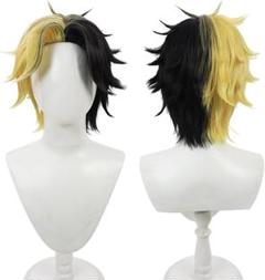 優れた品質 レイン・エイムズ コスプレ ウィッグ コート 杖付き - メルカリ コスプレウィッグ