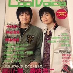 Cool voice v.2