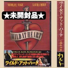 ★未開封★映画◎セルDVD『アドミッション —親たちの入学試験—』｜DL-736 ☆未開封☆映画◎セルDVD『アドミッション —親たちの入学試験