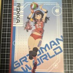 あ*お様 アクリルフォト SSSS.GRIDMAN【未使用品】 2025年最新】グリッドマン アクリルフォトの人気アイテム - メルカリ